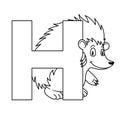 animal alphabet. capital letter H, hedgehog. illustration. For pre school education, kindergarten and foreign language learning fo Royalty Free Stock Photo